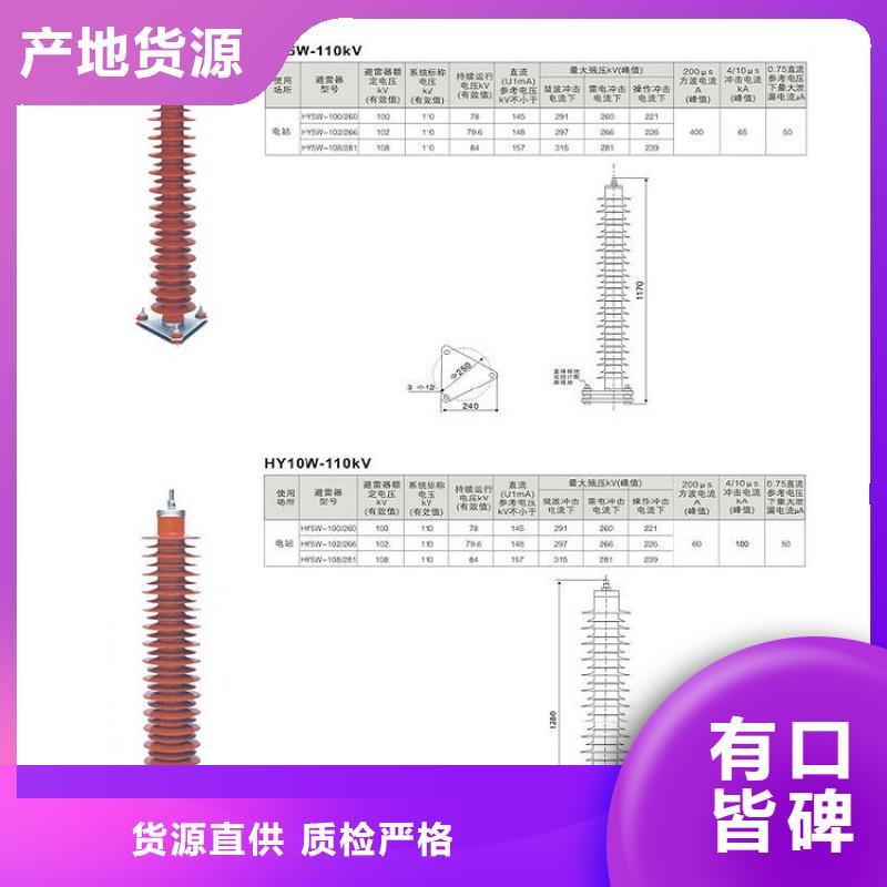 避雷器Y5WR-17/45DL【羿振电力】同城制造商
