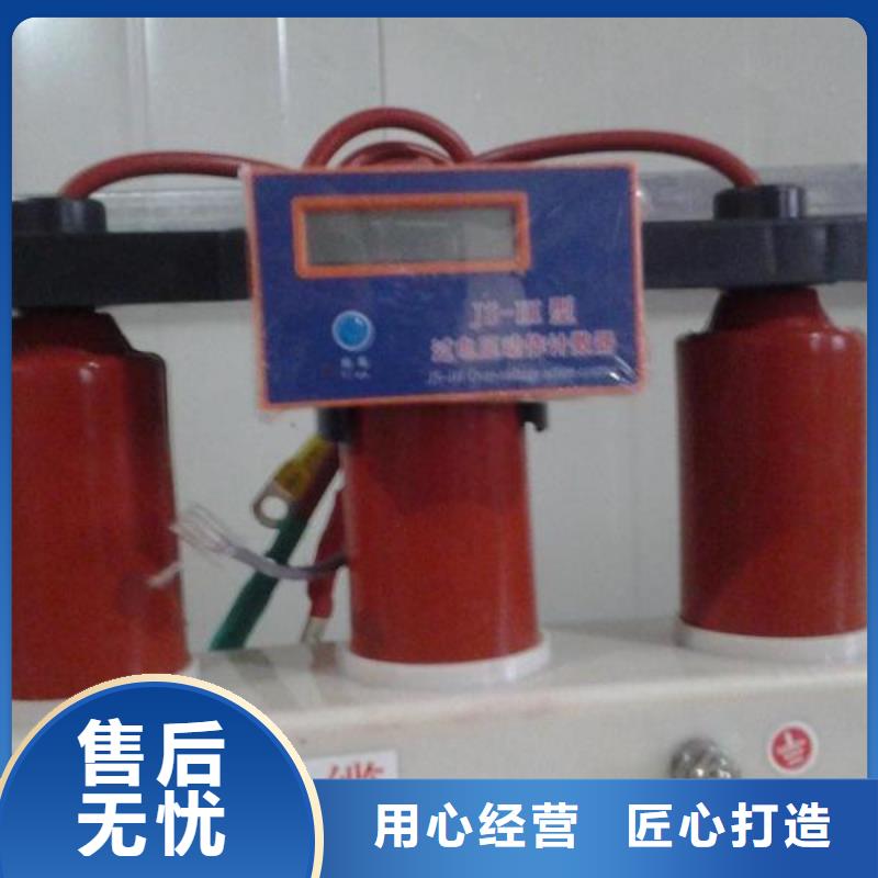 【】〖过电压保护器〗HRB-B-6.3-J质量可靠当地品牌