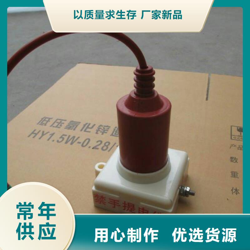 【】保护器(组合式避雷器)SKK-54L/W型大能容组合过电压保护器本地公司