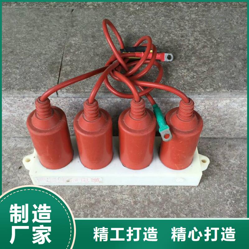 【组合式避雷器】TBP-B-7.6F/150当地公司