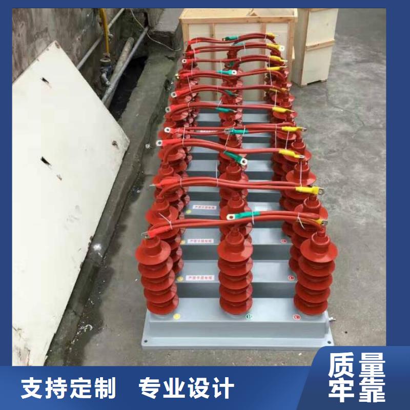 【羿振电力牌】过电压保护器TBP-A-12.7/85本地经销商