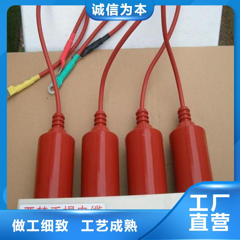 ＿过电压保护器(组合式避雷器)YH5WR-5/13.5*5/13.5当地服务商