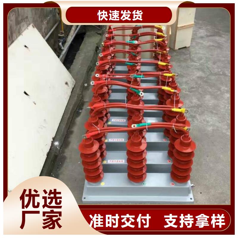 【】保护器(组合式避雷器)TBP-A-7.6-F/120现货齐全售后无忧