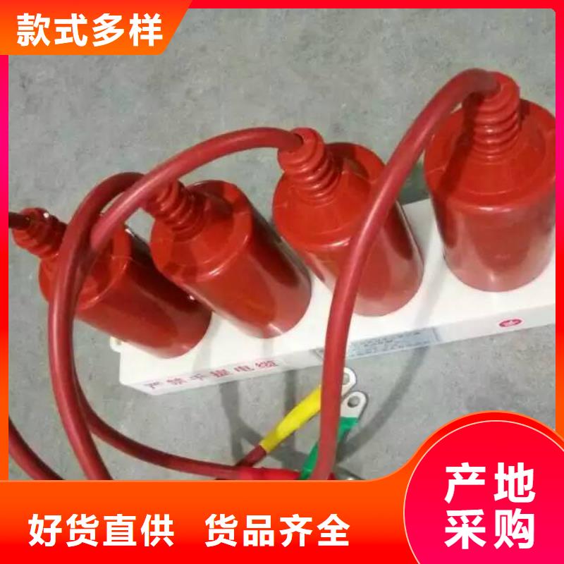 【组合式避雷器】YH2.5WD-25.5/56*25.5/56本地制造商