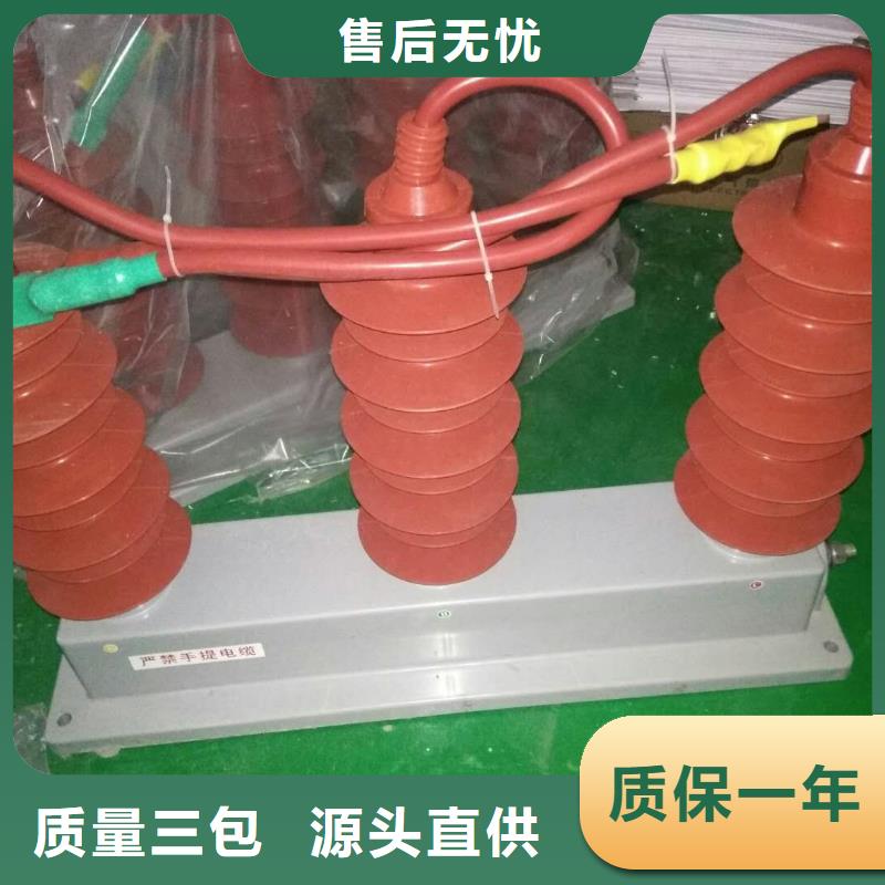 【】〖过电压保护器〗TBP-C-6.3/131-J生产厂家本地公司