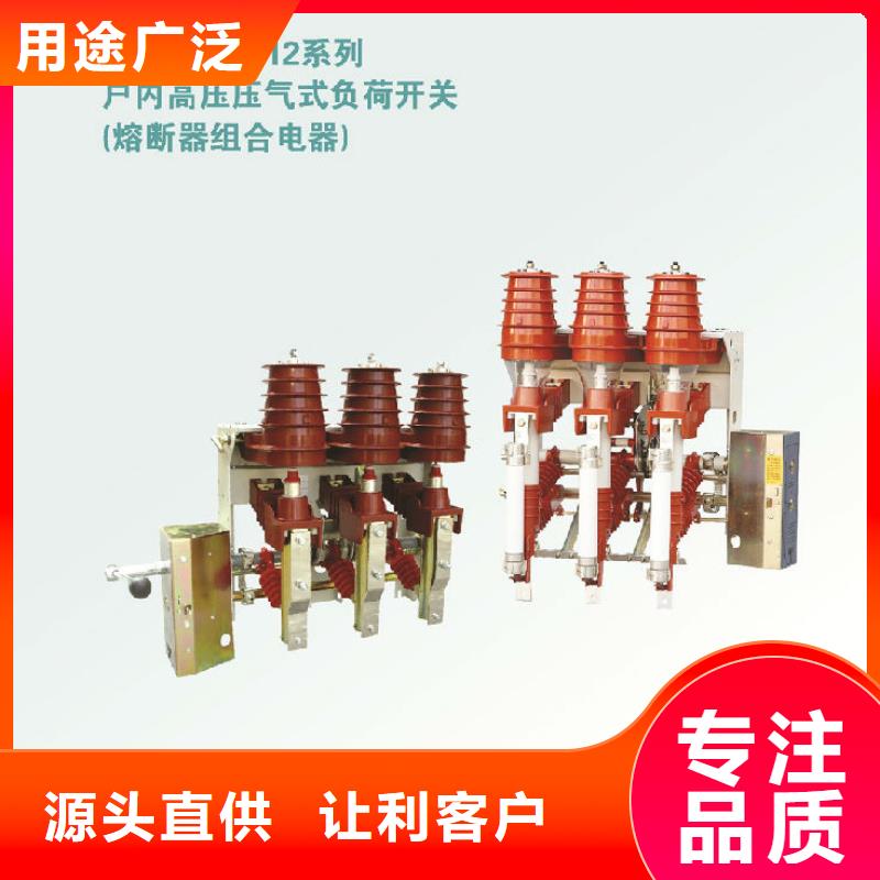 _羿振电气FZRN25A-12D/T200高压负荷开关本地生产厂家