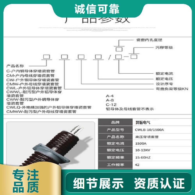 穿墙套管CWWL-20KV/3000-4.现货