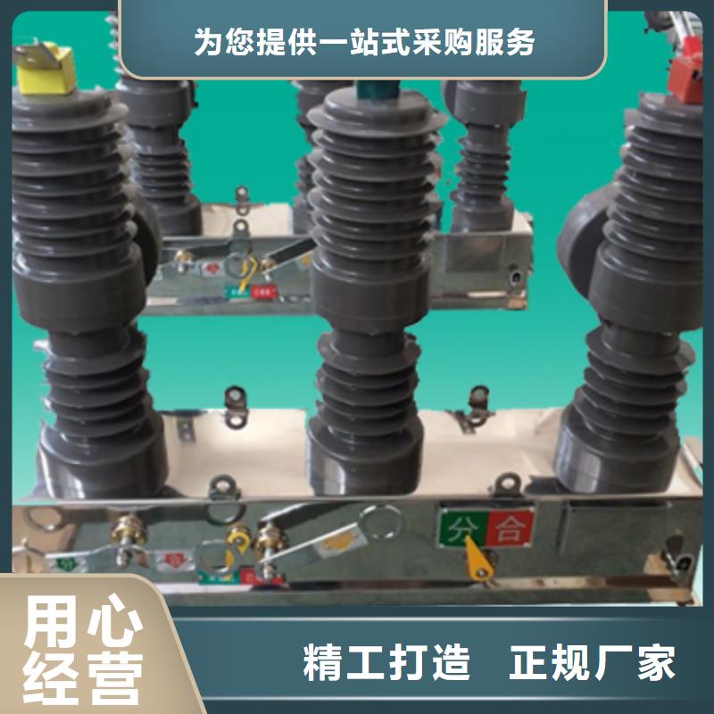 【】ZW32-12/630-25真空断路器参数＿价格性价比高
