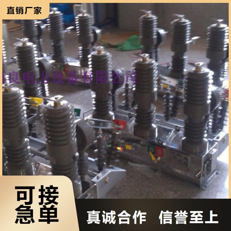 【】ZW39户外柱上真空断路器/户外高压真空断路器/ZW32-12/630-20定制不额外收费