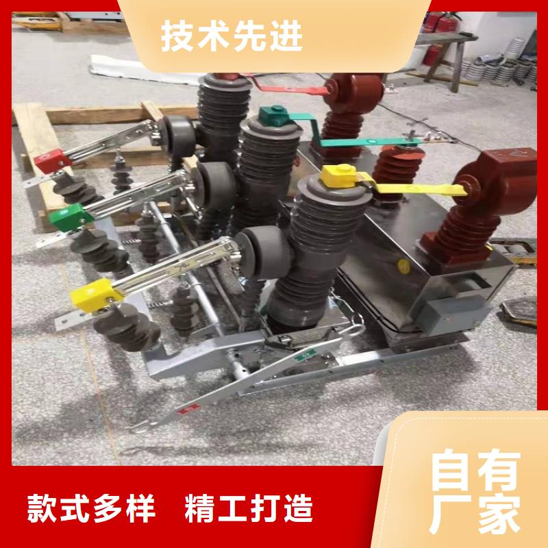 【羿振电气】高压断路器ZW32-12FG厂家直接面向客户
