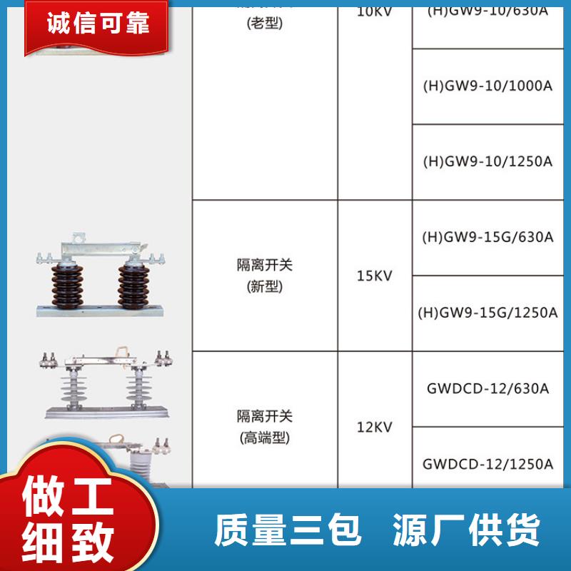 户外高压隔离开关HGW1-10KV/630同城公司