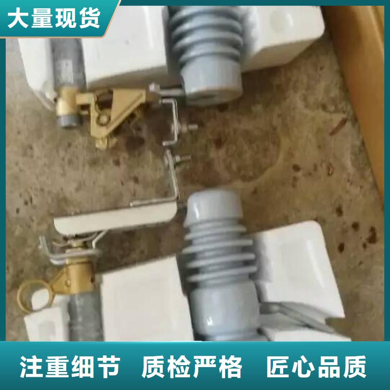【跌落式熔断器】RW33-12F-200A专业生产N年