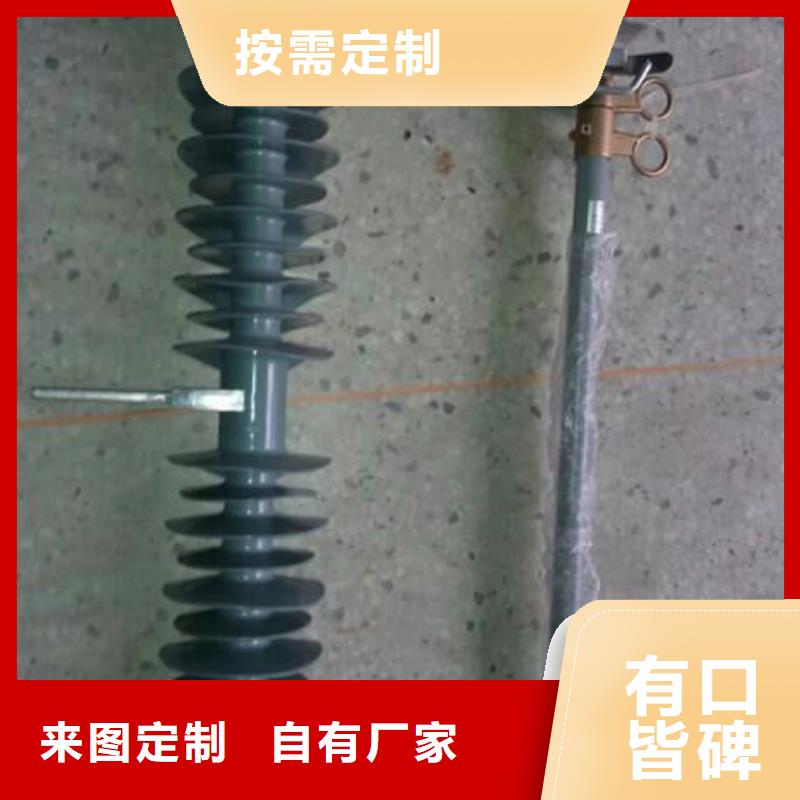 高压熔断器/PRW8-10/100A【浙江羿振电气有限公司】同城供应商