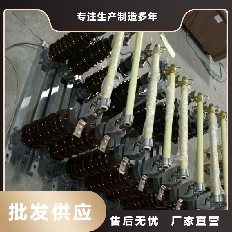 高压熔断器/HPRWG1-10F/100A高质量高信誉