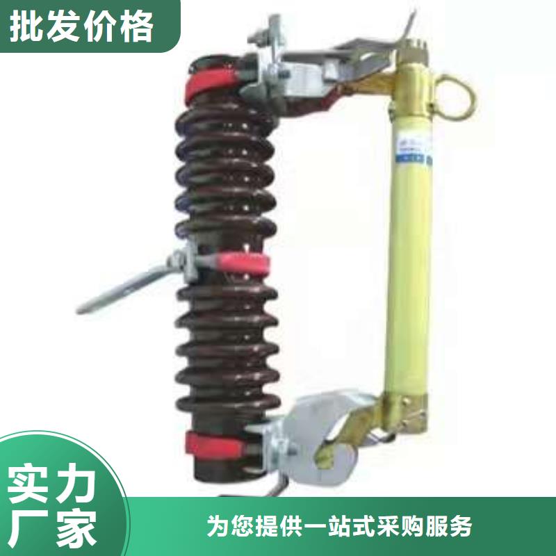 RW12-10/100A多年老厂现货批发