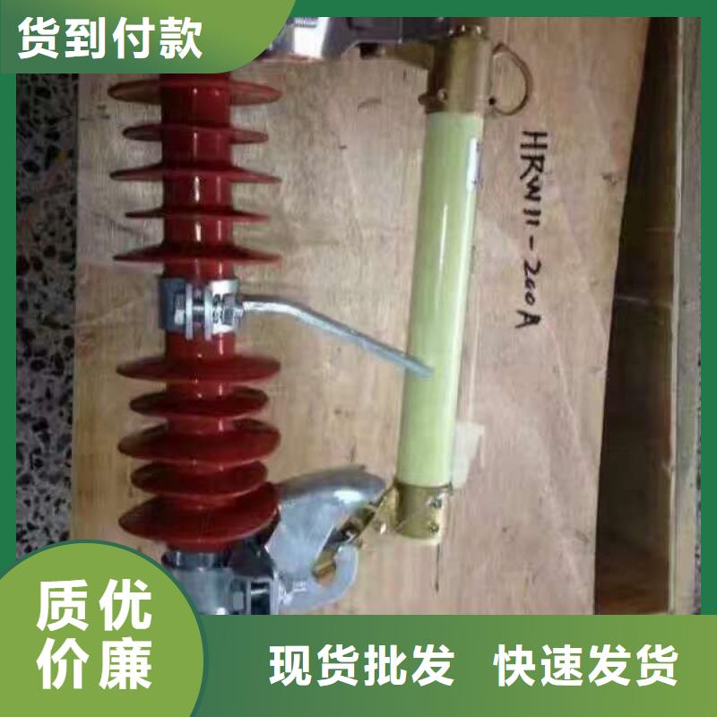 RW12【高压熔断器】RW12-12/100生产厂家匠心品质