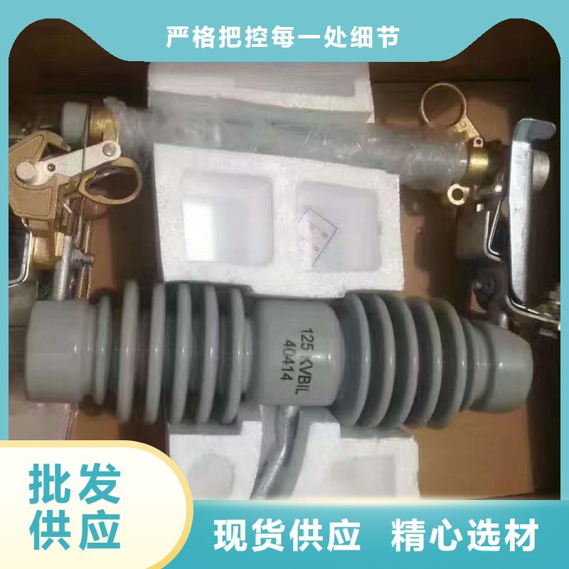 跌落式熔断器HRW11-12-100A-浙江羿振电气有限公司同城货源