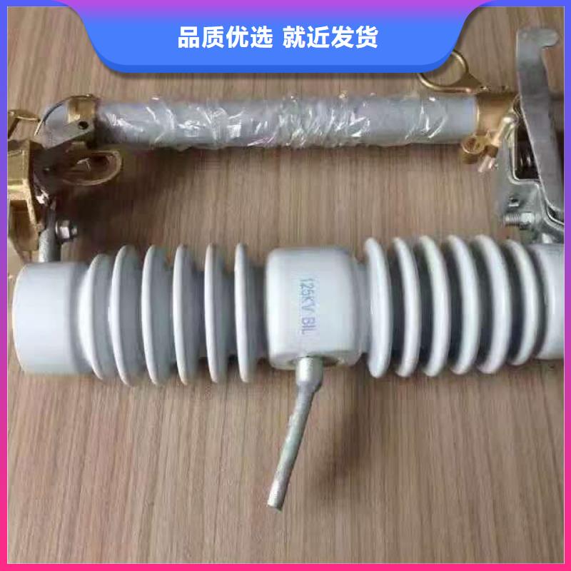 【跌落式熔断器】RW12-12/100生产厂家厂家现货批发