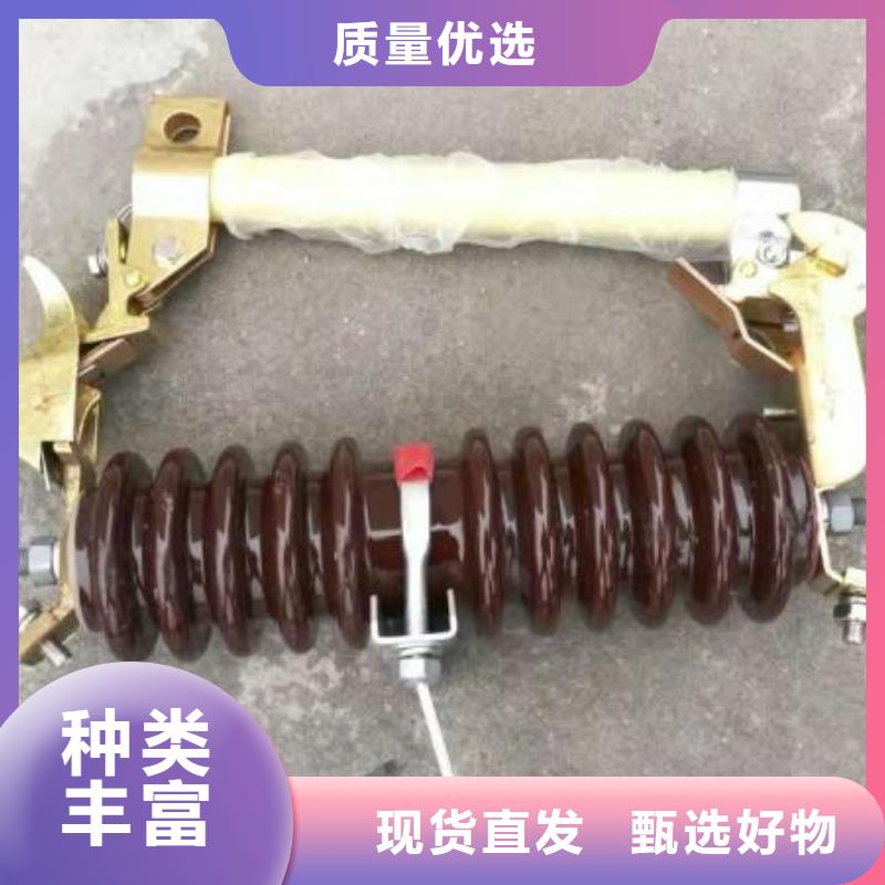 高压熔断器/HRW7-10/100A-浙江羿振电气有限公司工厂价格