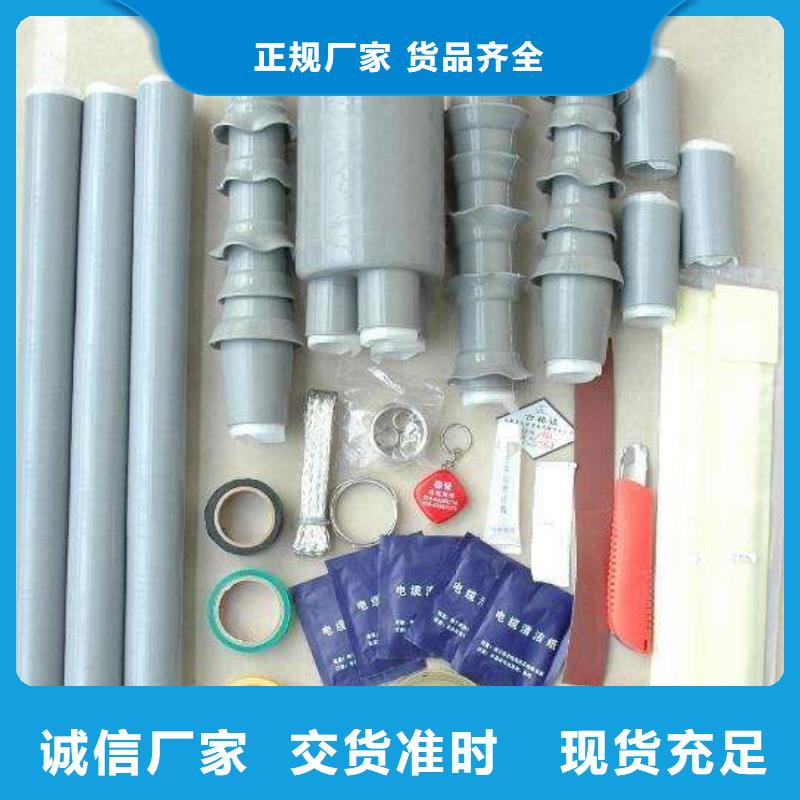 电缆中间接头RSNY-1/2-10KV_本地经销商