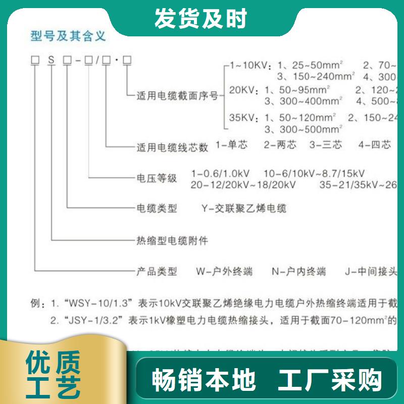 NRSY-20/3.4电缆终端头支持拿样
