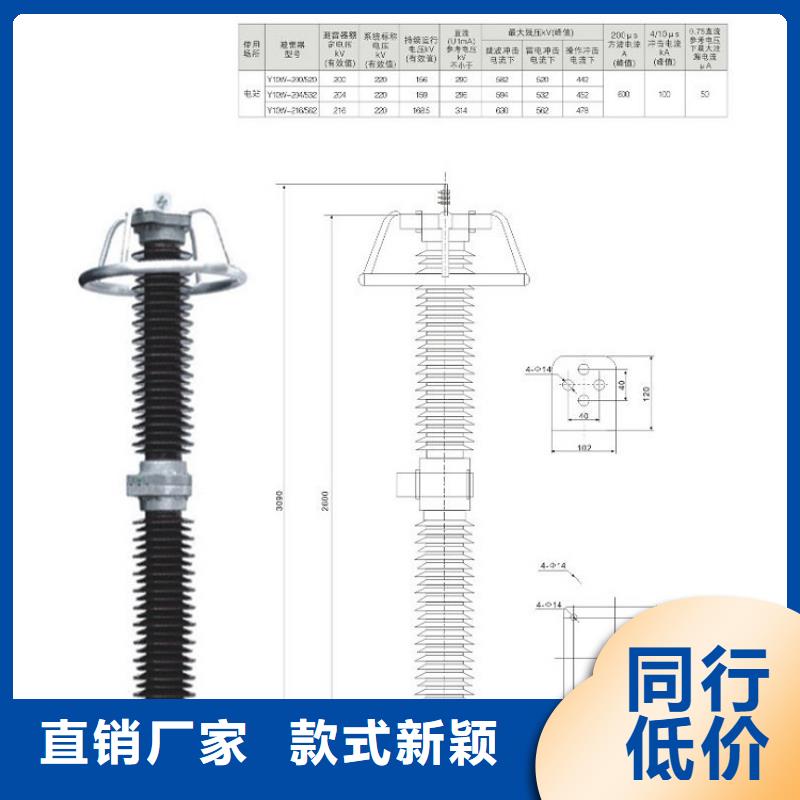 氧化锌避雷器YH10WZ2-51/150S实力厂家本地服务商