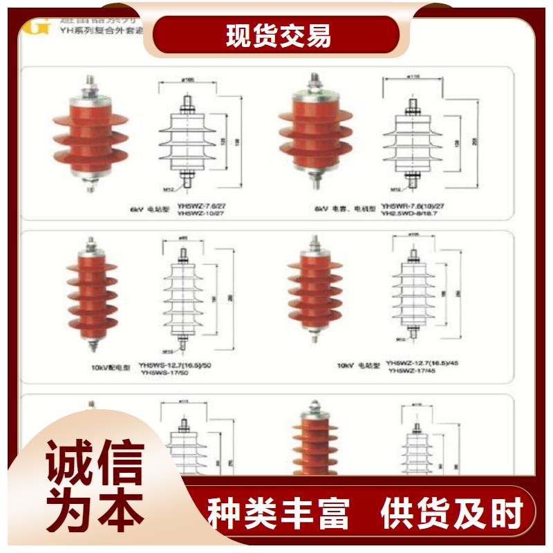 _避雷器YH10WZ-200/520【羿振电力设备】真实拍摄品质可靠