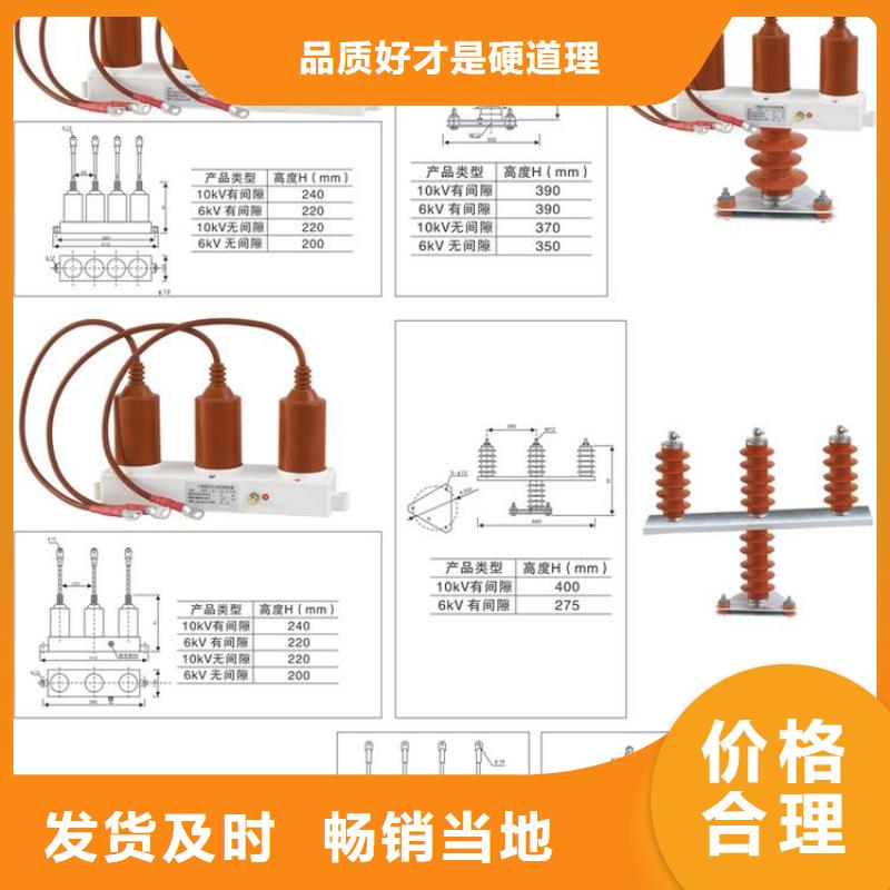 【】过电压保护器(组合式避雷器)TBP-B-42F/630W工期短发货快