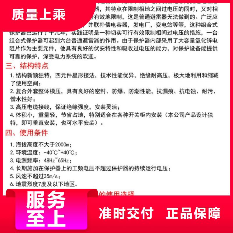 【】保护器(组合式避雷器)TBP-C-42F/310同城服务商