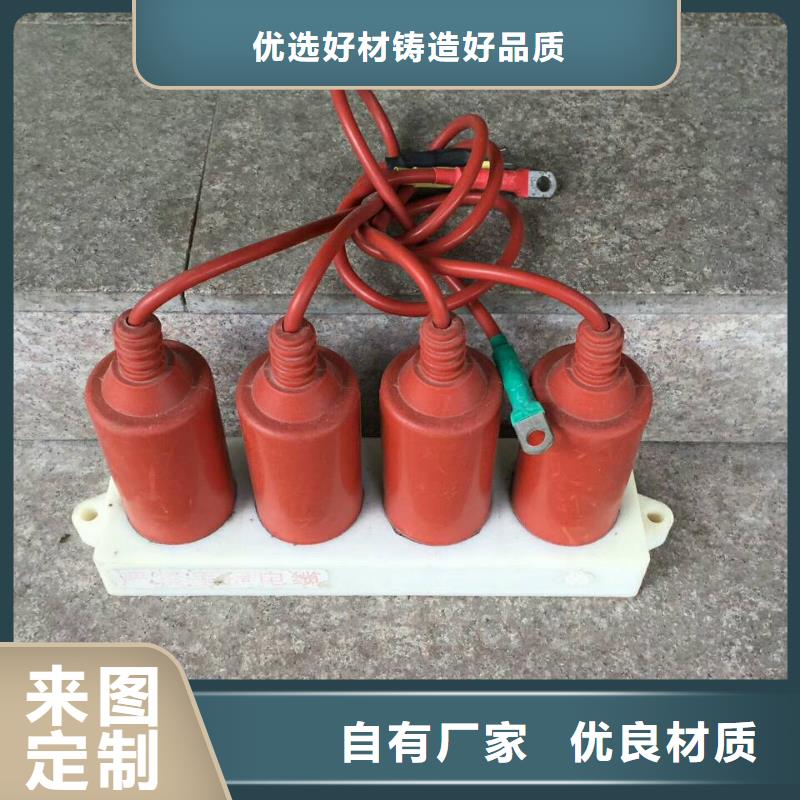 【过电压保护器】TGB-B-12.7/N货源足质量好