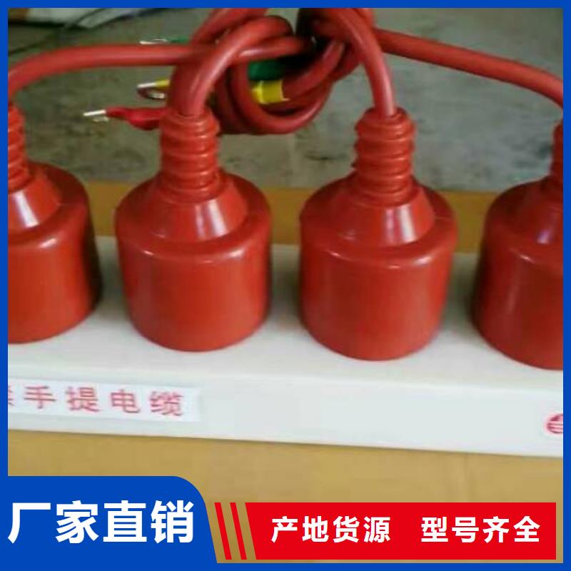 【】保护器(组合式避雷器)TGB-B-42/W同城生产商