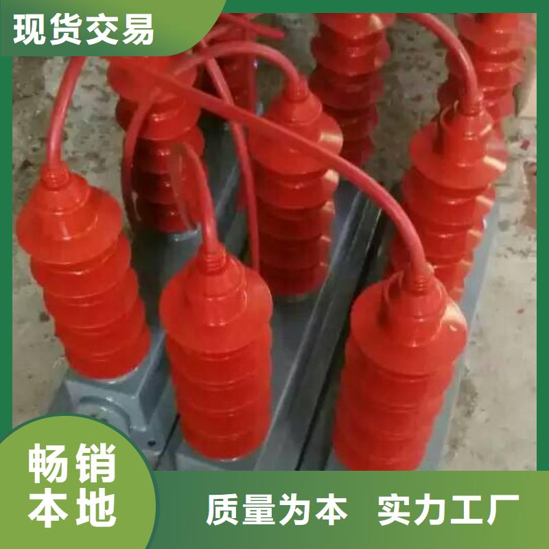 【】过电压保护器(组合式避雷器)YH5WS-10/30*10/30一站式供应