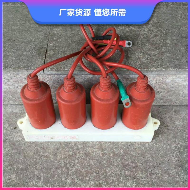 【过电压保护器】TBP-B-12.7F/131本地服务商
