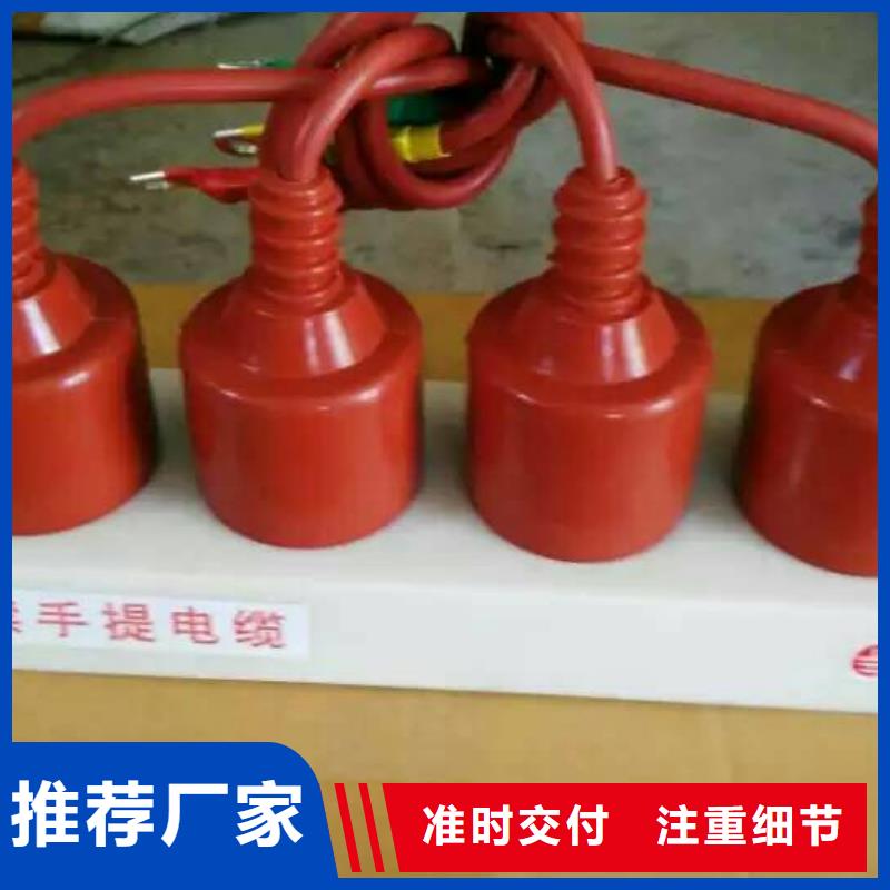 【羿振电气】过电压保护器TBP-A-42F/200本地品牌