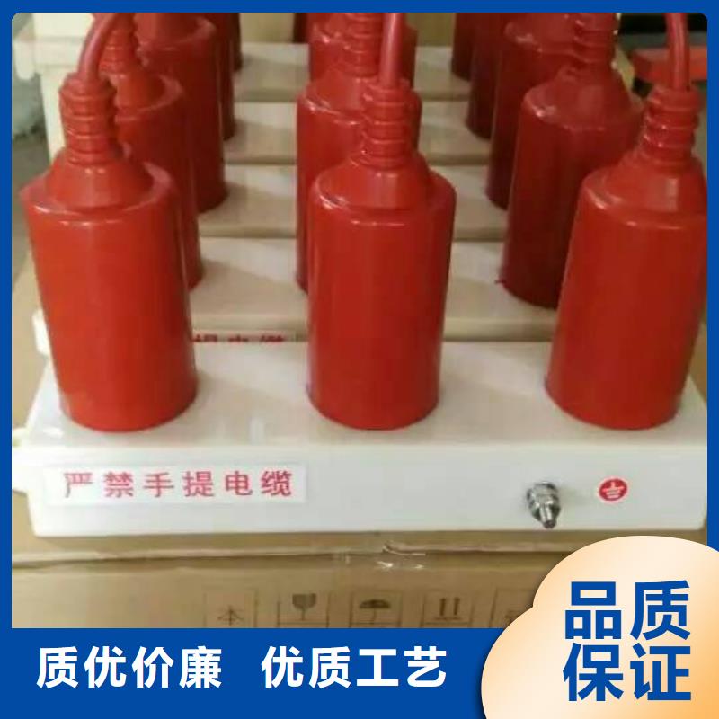 【】保护器(组合式避雷器)YH5CZ-42/124*42/124本地供应商