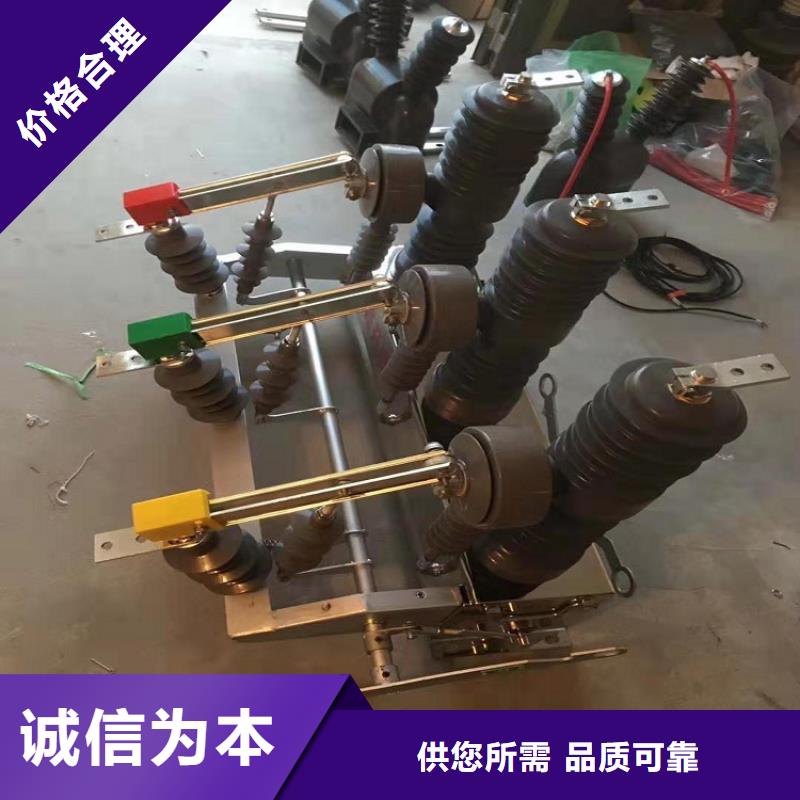 【真空断路器】永磁断路器ZW32-12/M630A-20KA做工精细