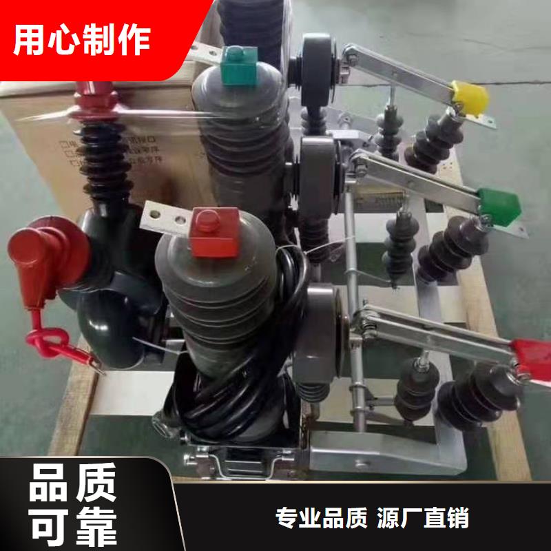 品牌【羿振电力】ZW32-10KV/630-20专业生产品质保证