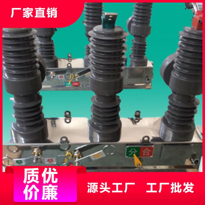 柱上断路器ZW32-12G/T630【上海羿振电力设备有限公司】准时交付