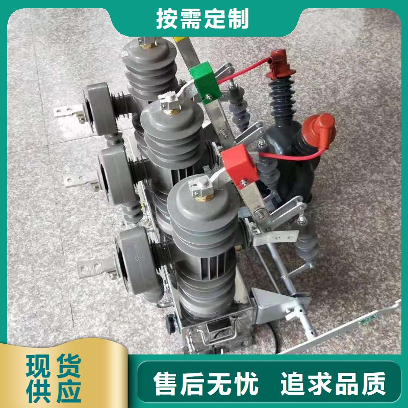 【真空断路器】ZW32-24F/1250A当地制造商