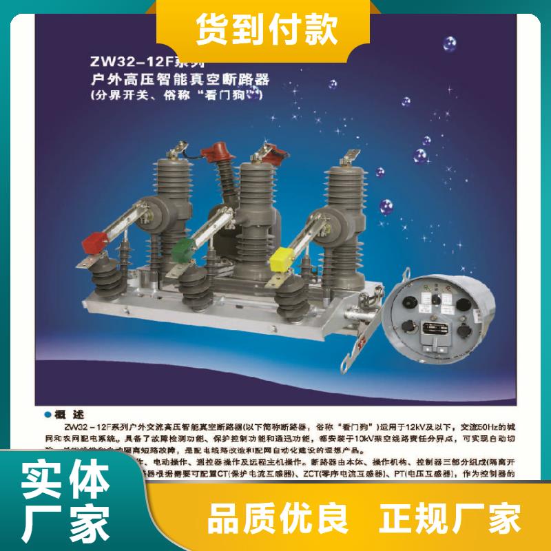 【断路器】ZW32-12DG/630-20匠心打造