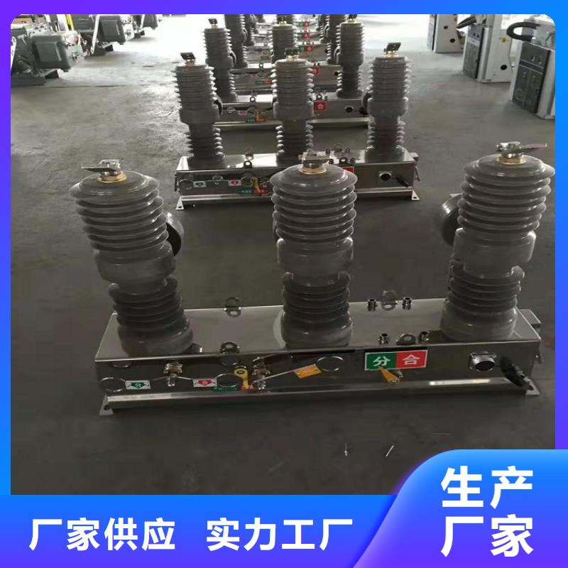 【真空断路器】ZW32-12G/T630-20当地服务商
