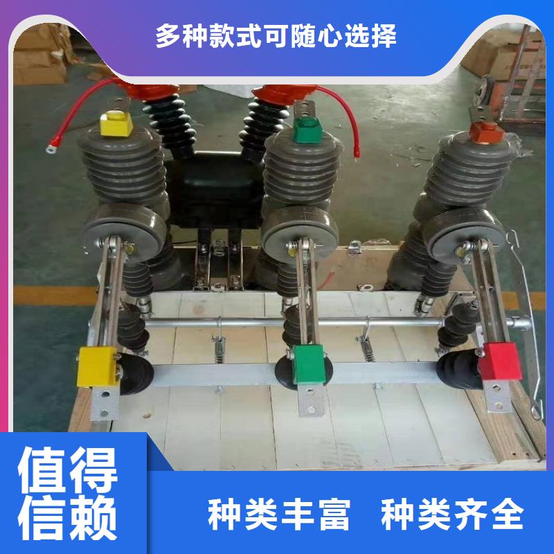 品牌【羿振电力】永磁真空断路器ZW32-12G/M630实力派厂家