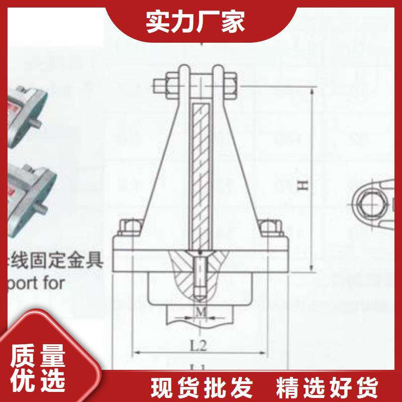 ZSW-145/4支柱绝缘子【上海羿振电力设备有限公司】懂您所需