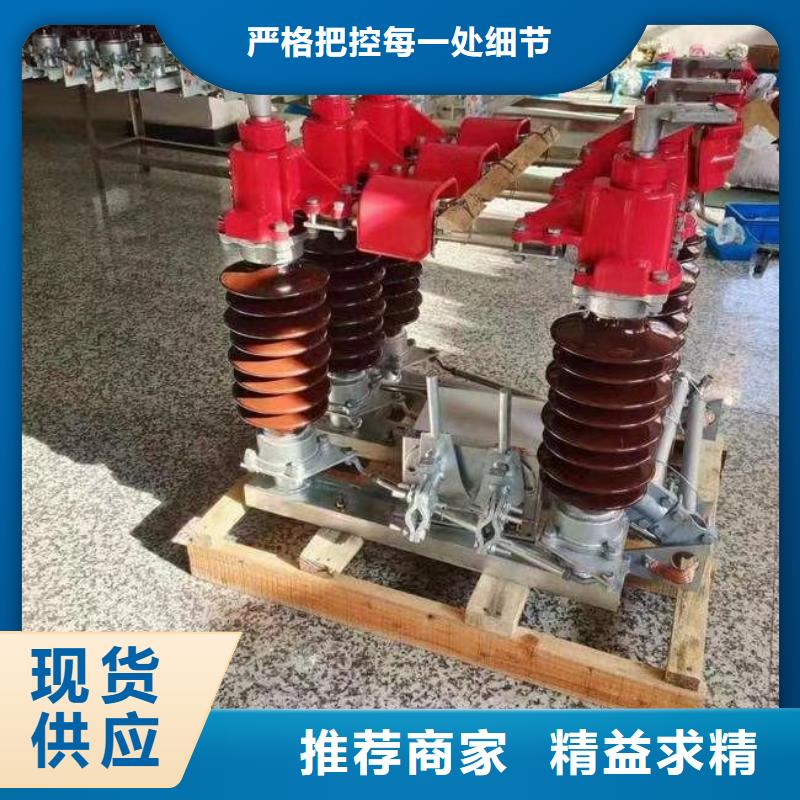 隔离开关HGW1-40.5D/1250A.当地品牌