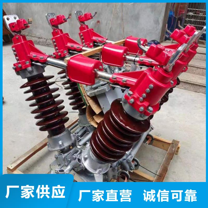 高压隔离开关GW5-40.5D/630A手动单接地防污型完善化好产品好服务