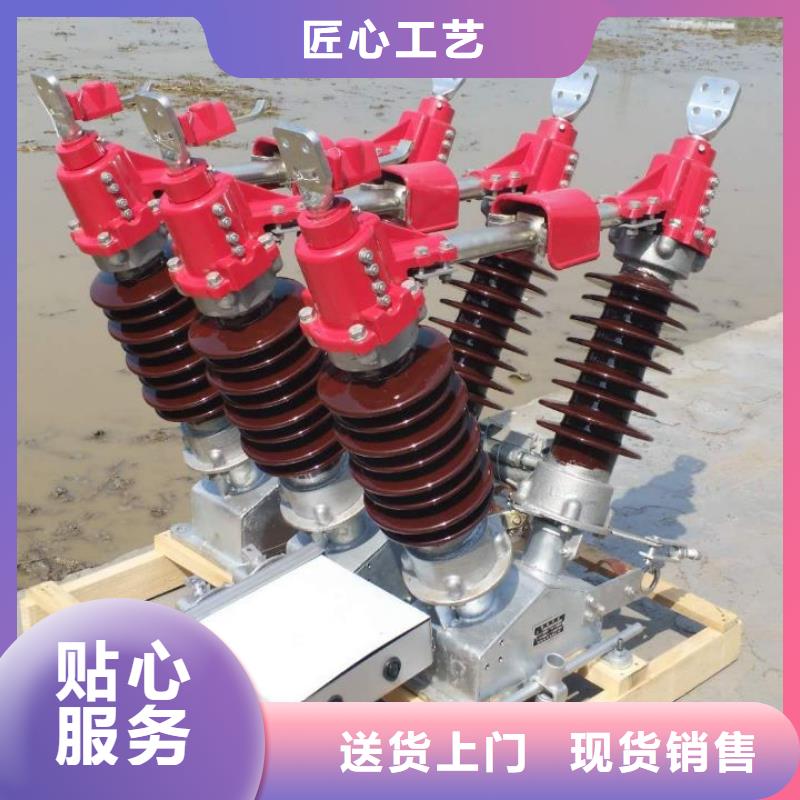 高压隔离开关GW5-40.5D/630A手动单接地防污型完善化细节决定成败