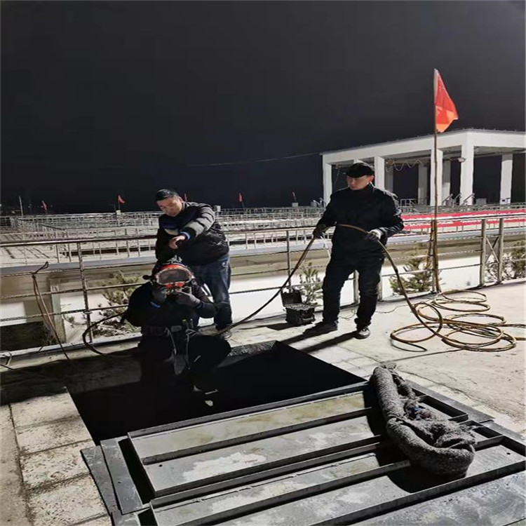 天津市专业打捞队-本地水下打捞队伍本地经销商