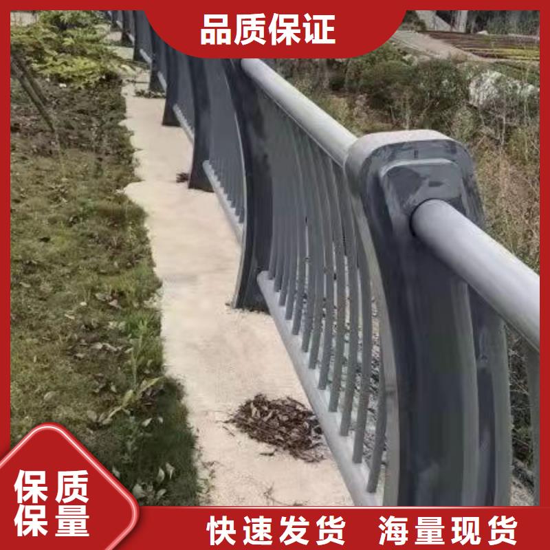 钢护栏多年行业经验出厂价