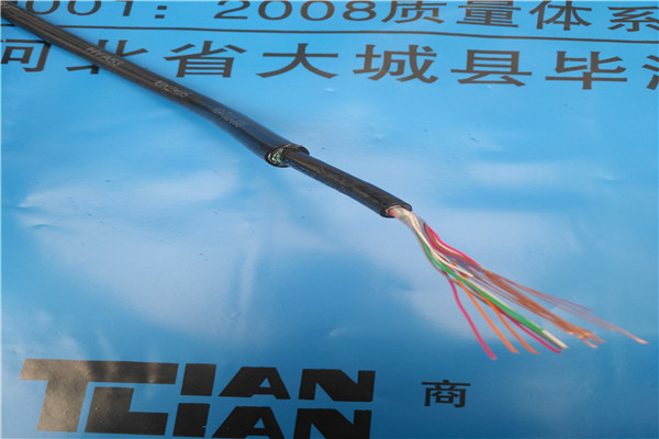 呼叫通信电缆HJYVP2/SA施工多年经验值得信赖