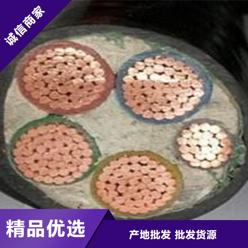 控制铜芯电缆YTV厂家-交货周期短原料层层筛选